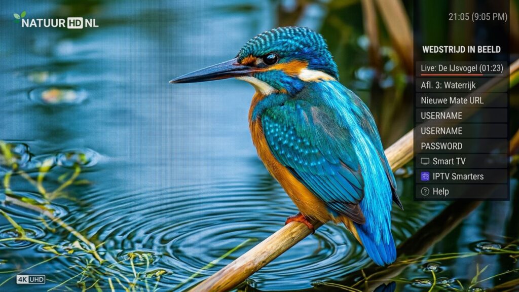 4K Ultra HD IPTV streaming kwaliteit Nederland kristalhelder beeld